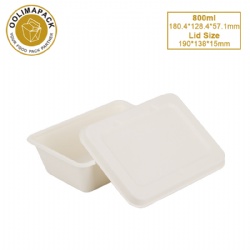 800ml Bagasse Box with Lid