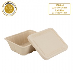 1500ml Bagasse Box with Lid