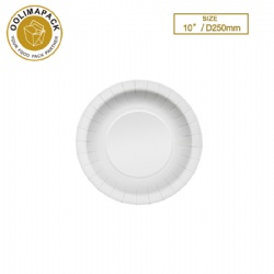 10〞Paper plate