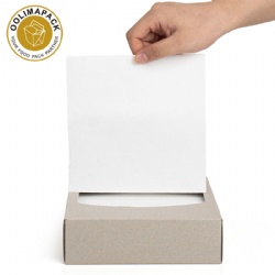 320*160mm Tissue napkin