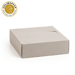 320*160mm Tissue napkin